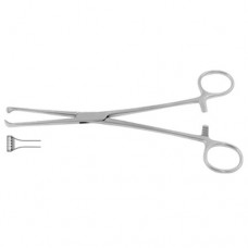 Thoms-Allis Intestinal and Tissue Grasping Forceps 6 x 7 Teeth Stainless Steel, 20.5 cm - 8"